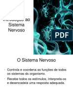 Introdução Ao Sistema Nervoso - Aula 1