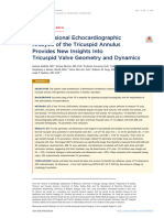 3-Dimensional Echocardiographic