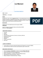 CV Documentado - Cruz Mamani Duval Bremell