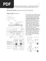 06 Synapse