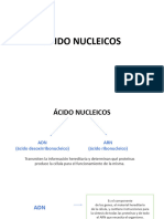 Ácido Nucleicos