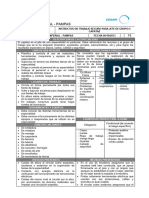 Instructivo de Trabajo Seguro para Capataz