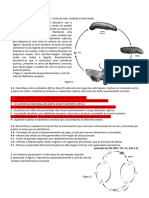 BG - Ficha Trabalho - U 6 - Ciclos Vida - 11 C2ba - Falta Corrrigr Gralhas