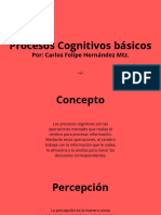 Procesos Cognitivos Básicos