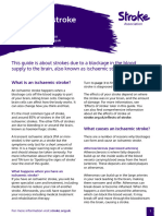 Ischaemic Stroke Guide