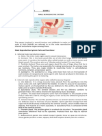 Reproductive System Jbls