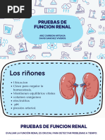 Pruebas de Funcion Renal