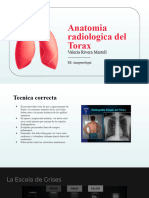 Anatomia Radiologica Del Torax