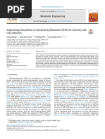 Yang Z 2020 Engineering Biosynthesis of PHA