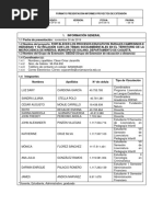 FO-M-EP-01-05 - Informe Final GEEAD - 30112019 - V3