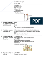 Chapter 8 - Cervical & Thoracic Spine