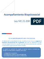 Acompañamiento Psicosocial Ley Ive