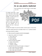 COMPRENSIÓN LECTORA (1) - El Eucalipto Es Una Planta Medicinal