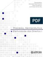 Processo, Hermenêutica - 20439632