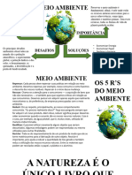 Cópia de MEIO AMBIENTE