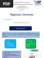 Regiones Comunes