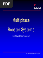 Multi-Phase Booster Pump