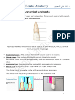 Anatomical Landmarks Lec 3 3