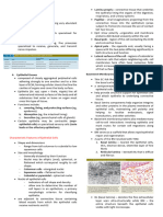 IV. Chapter 4 (Epithelium)