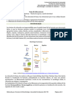 Guía Coloraciones Microbiologia de Alimentos Nutrición