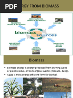 Biomass PowerPoint