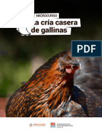 GALLINAS