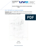 AA2. Test Gestáltico Visomotor de Bender y Test de Evaluación Neuropsicológica Rápida