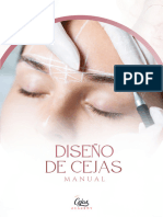 MANUAL - Diseño de Cejas