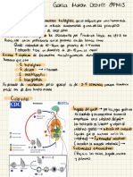 Amebiasis y Plan de Rehidratacion