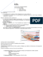 Resumen SEDIMENTOLOGÍA Meteorización y Suelo Formación de Rocas Sedimentarias