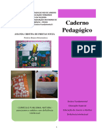 CADERNO PEDAGÓGICO - Currículo Funcional Natural para Jovens e Adultos Com Deficiência Intelectual