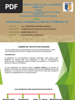 Pasos para La Formulacion de Un Proyecto Pip