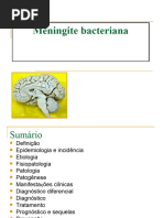 Meningite 2020 2 SEMESTRE