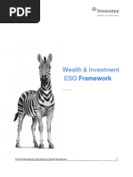 WI SA ESG Framework 2020