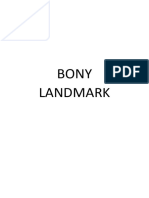 All Bony Landmark