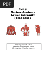 (2021) Handout For Surface Anatomy - Lower Extremity