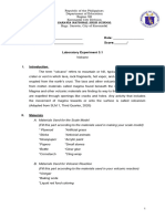 Laboratory Report Volcano Activity