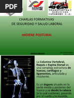 Higiene Postural