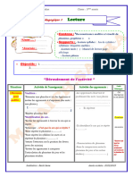 Lecture Fiche Modèle