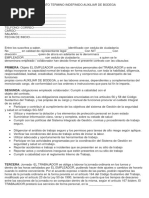 Contrato Laboral Termino Indefinido