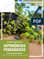 E-Book Experiências Pedagógicas