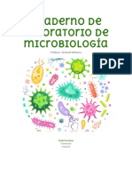 Cuaderno Prácticas Microbiología Paula Escolano