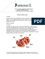 Sistema Cardiovascular