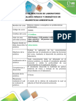 Protocolo para El Desarrollo Del Componente Práctico