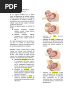 Tema 3. Distocia de Hombros