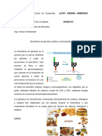 PDF Documento