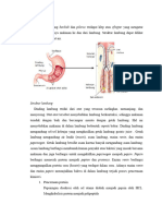 Makalah Sistem Pencernaan