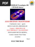 Resultado de Aprendozaje - Principio de Electricidad y Magnetismo