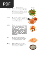 Cortes y Glosario Bases Culinarias