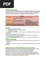 Fisio Primer Parcial